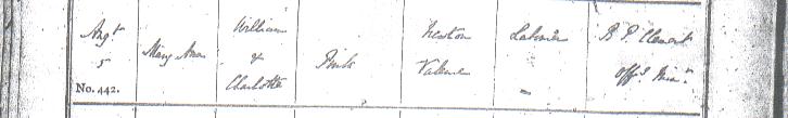 Mary Ann Pink's baptism certificate